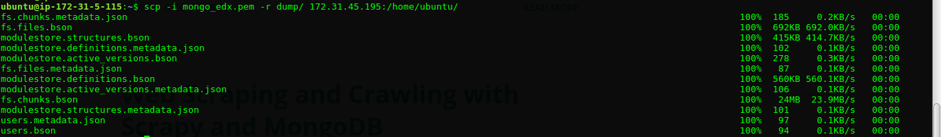 Step 16