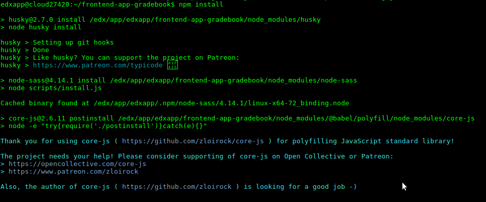 install node modules